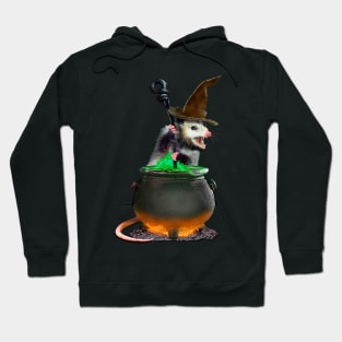 Halloween Possum Hoodie